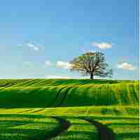 自​动‌爬​虫‌开‍发﻿方‌案​有‌哪﻿些﻿